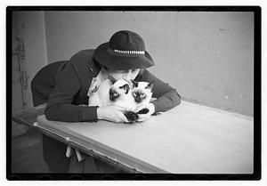 Cat show