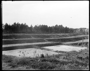 Filter beds at Andover, Massachusetts