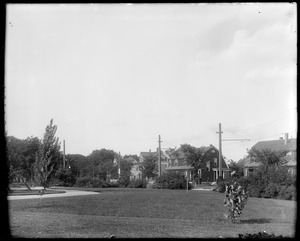 Talbot oval showing lawn and planting