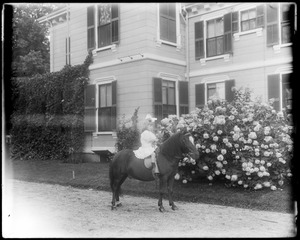 Grace Helen Talbot on pony's back with hydrangea bush backing