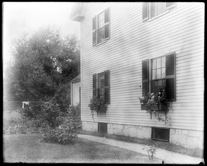 #47 Wilson Street window boxes