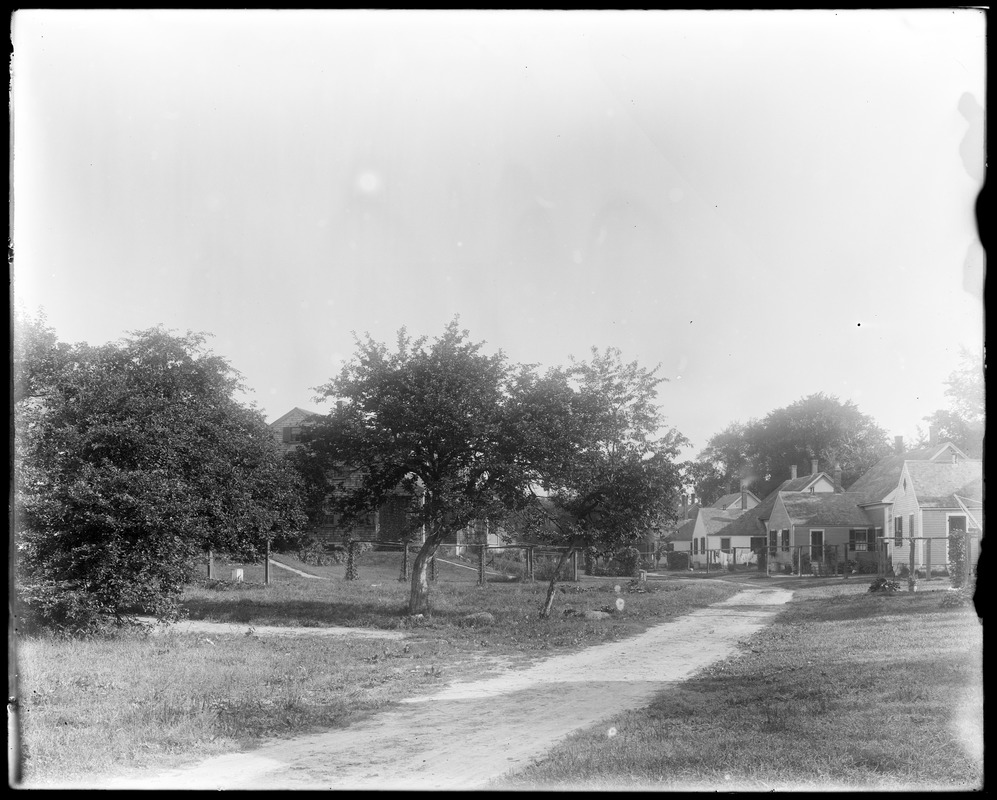 Rear view between Talbot Avenue and Wilson Street Digital Commonwealth