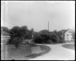 Oval showing north end shrubs from flag pole