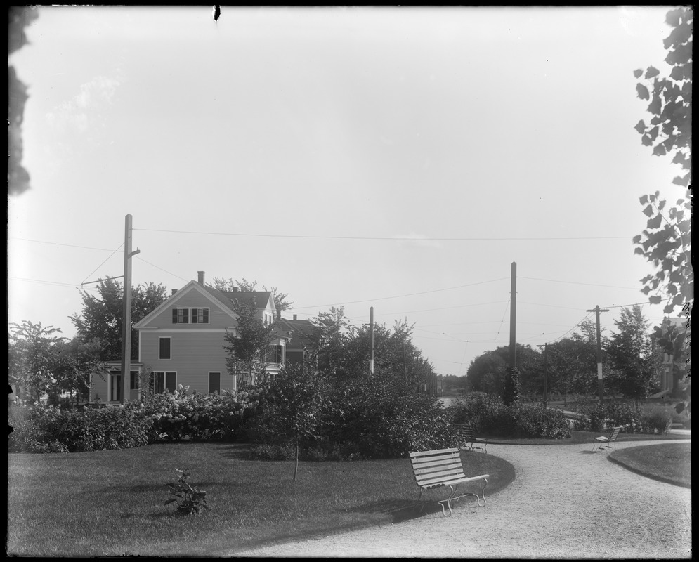 Oval showing south end shrubs from flag pole