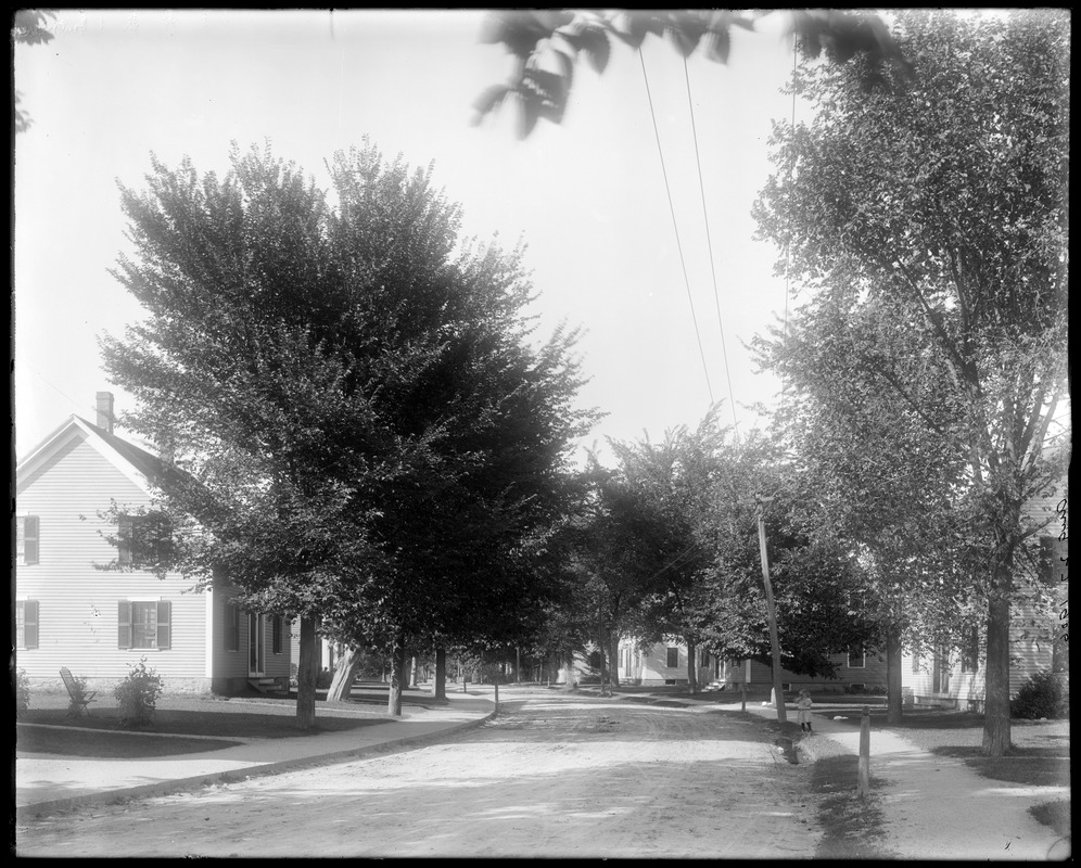 Wilson Street, North Billerica Digital Commonwealth