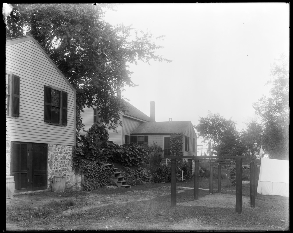 #11 and #13 Wilson Street, rear view