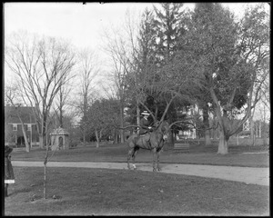 Mrs. L. Talbot on horseback in the back yard