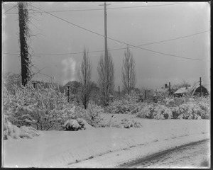 Talbot Mills oval, S. E. corner, snow view