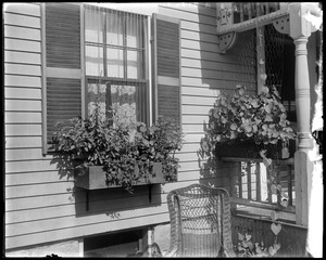 #55 Wilson Street, window and porch box, Joseph Ellis, 5th window boxes