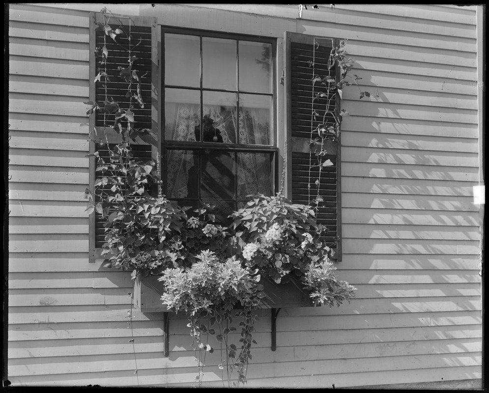 #80 Wilson Street, window box, Samuel Lord