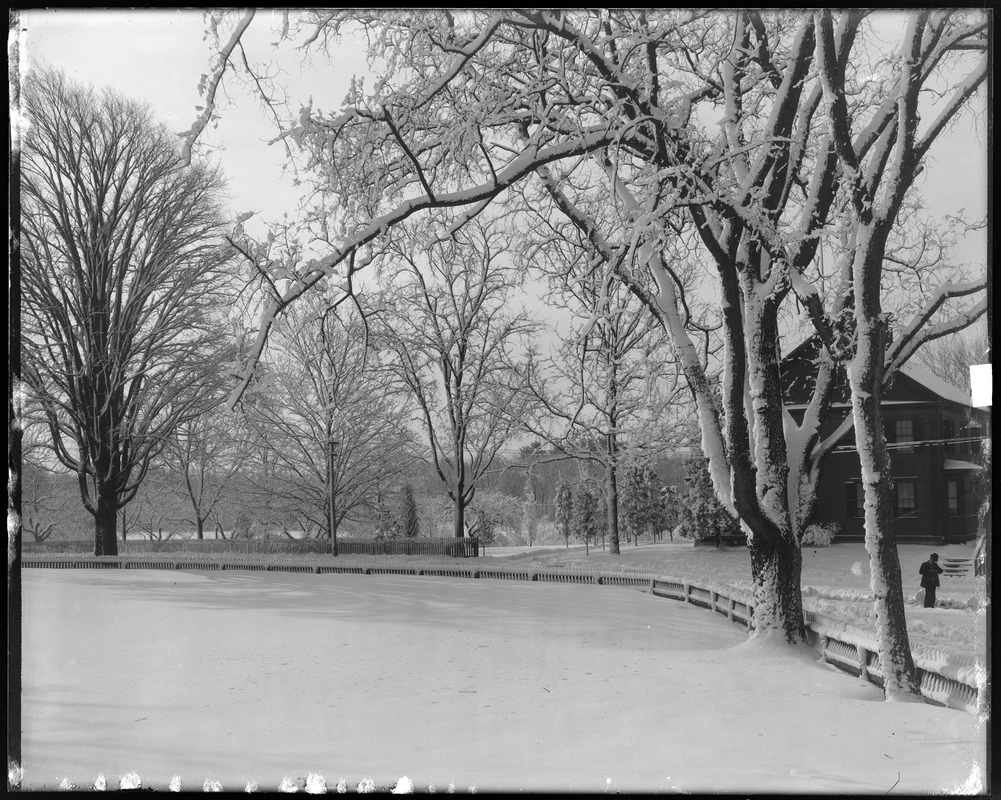 View from Mr. Geo. Preston's front door after snow storm