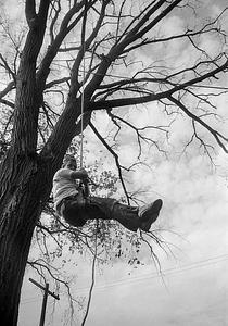 E.M. Munson landscapers removing tree, Mulberry Street, Fairhaven