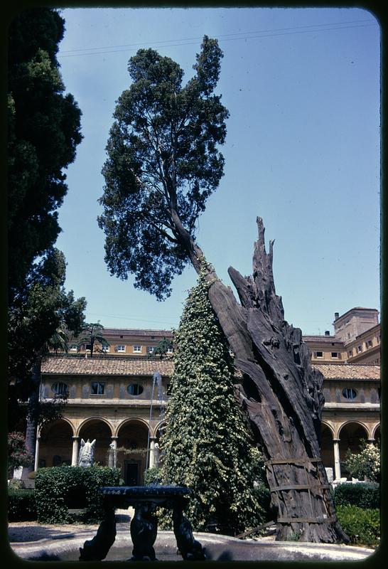 Chiostro di Michelangelo, Rome, Italy