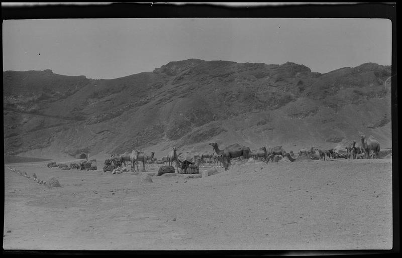 Camel Mart in Crater