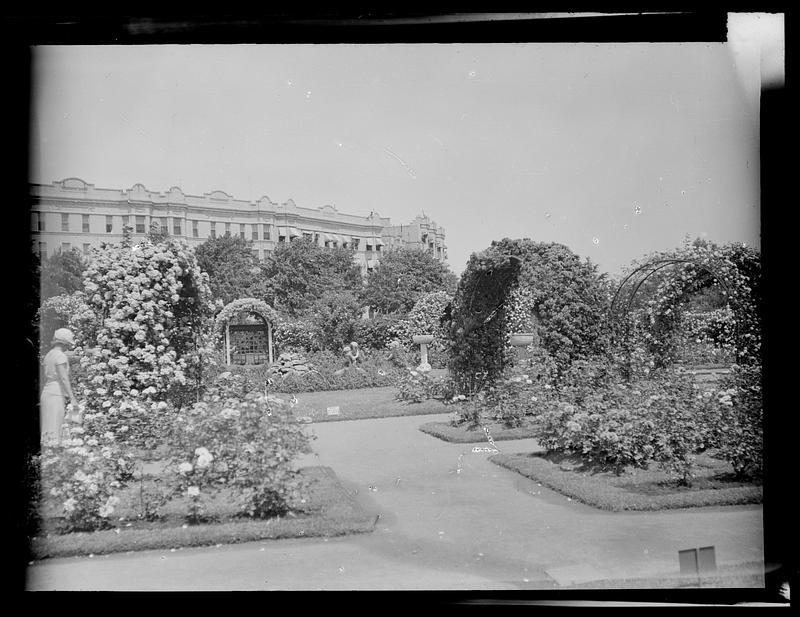 Garden of several arched trellises Digital Commonwealth