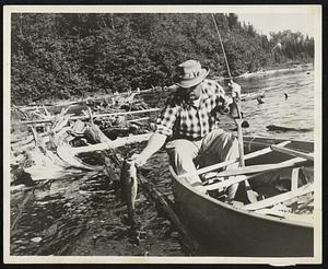 A largemouth bass is pulled from one of thousands of small lakes in Minnesota’s Boundary Waters Canoe Area.