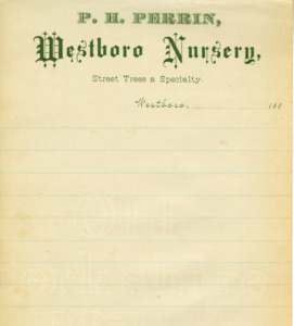 P. H. Perrin Westboro Nursery receipt
