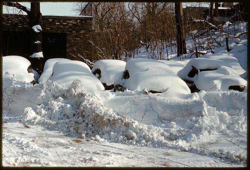 Cars covered in snow, Boston