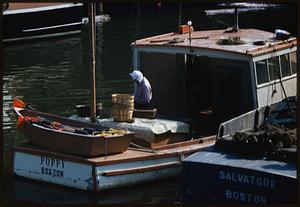 Boats "Poppy" and "Salvatore" out of Boston