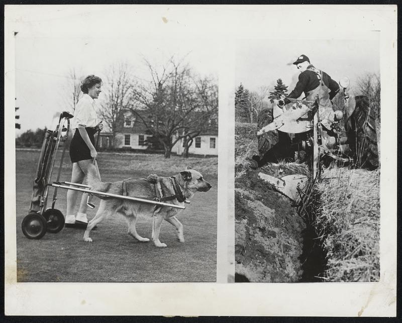 Who's Laughing Now? - While western states dig out of a blizzard, rockbound England basks in springlike temperatures. To prove it, Mary Faulkner, shorts-clad, plays golf in Augusta, Me., with Behring, her Chinook dog, caddying. At right, Frank Murphy plows his land in East Derry, N.H.