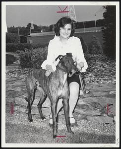 I.W.'s Mardon, second in Taunton Inaugural, shown here with Stephanie Pegley at Taunton Dog Track, were Rehoboth Fair meet starts tomorrow