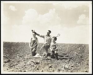 Seeking Divine Aid in West's drought crisis. Stuart Rudd, a South Dakota farmer, in the midst of his sun-devastated fields, praying to end the drought which has ended his prospects of a crop. Rudd's two sons kneel with him in prayer.