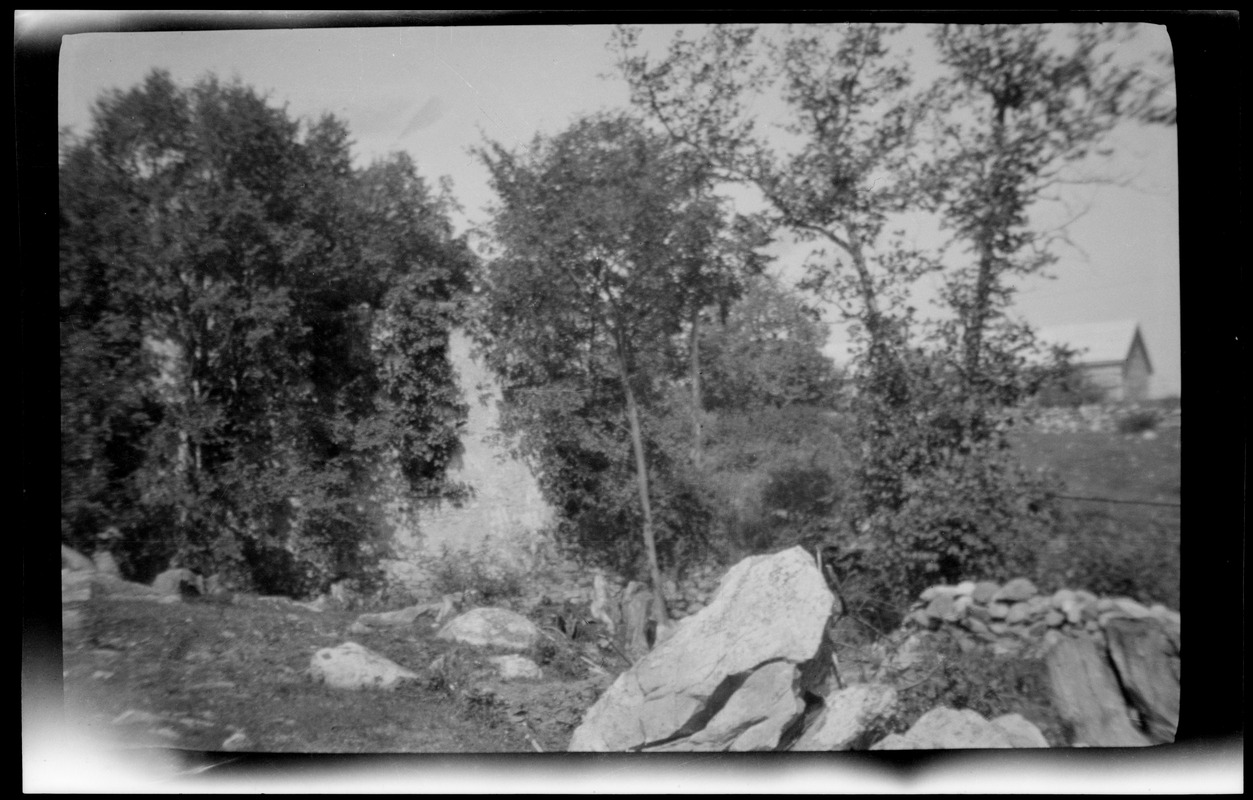 Boulders, rocks, and tree in a field