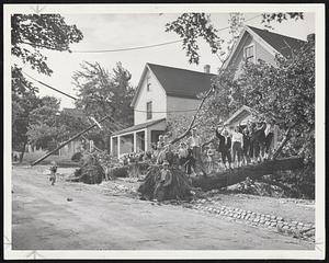 Kids Have Fun - A laughing group waves from a fallen tree at Arlington Heights.