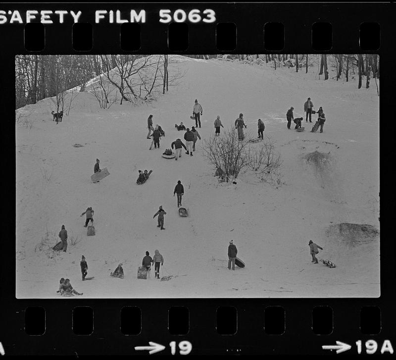 March's Hill sledders