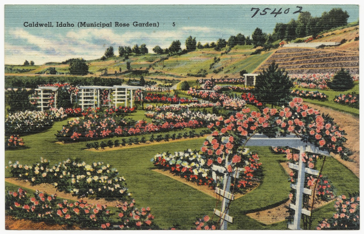 Caldwell, Idaho (Municipal Rose Garden)