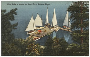 White sails at anchor on Lake Coeur d'Alene, Idaho