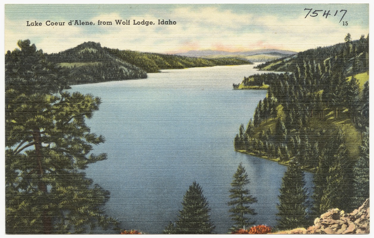 Lake Coeur d'Alene, from Wolf Lodge, Idaho