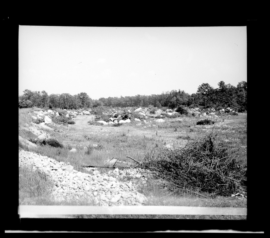 Squantum Ma Digital Commonwealth