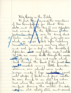 "Wild Honey in the Gulch" essay for English III by Sarah (Sallie) M. Field, Abbot Academy, class of 1904