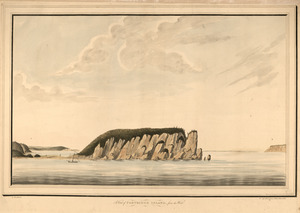 A view of Partridge Island, from the west