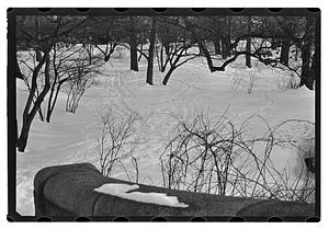 Snow pictures - Fenway