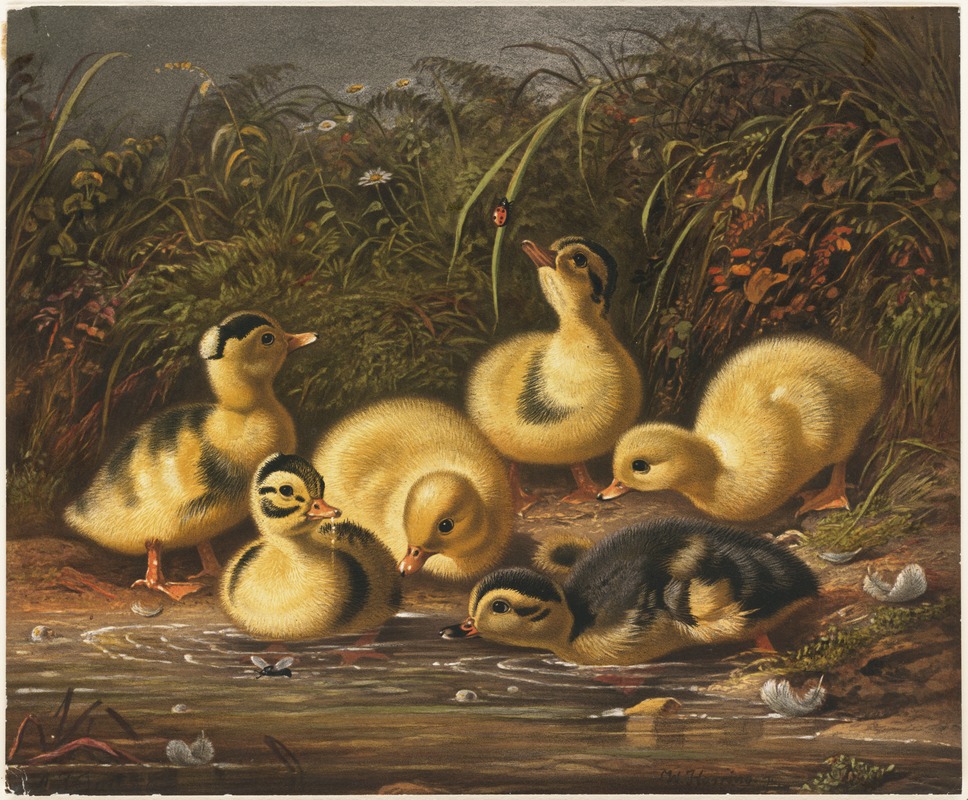 Group of ducklings