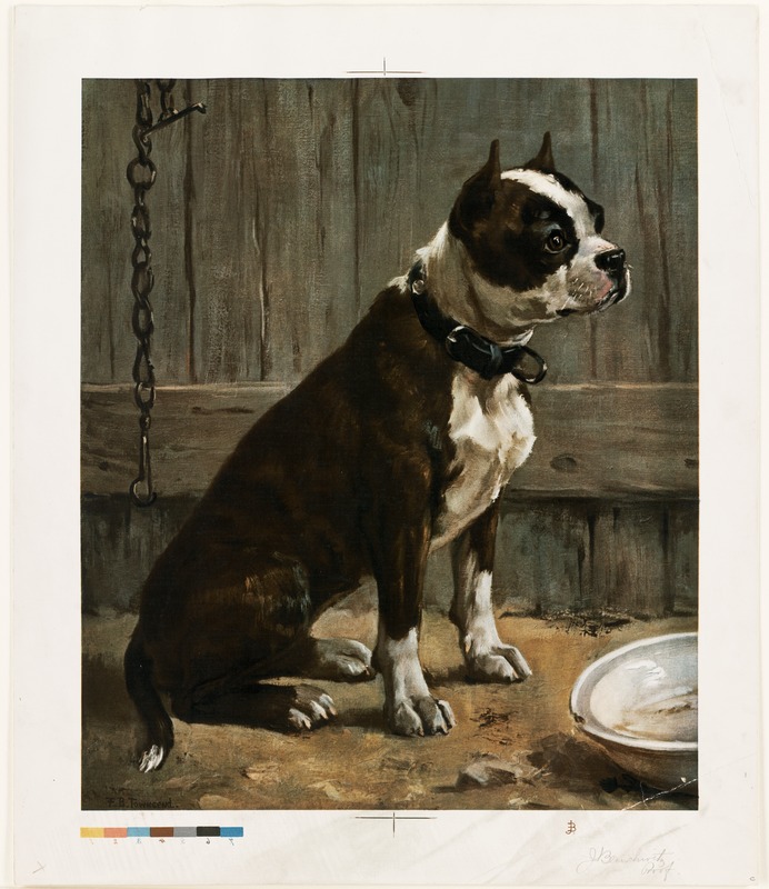 Terrier seated