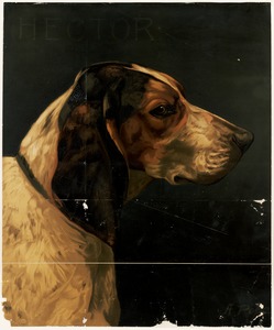 Hector (dog's head)
