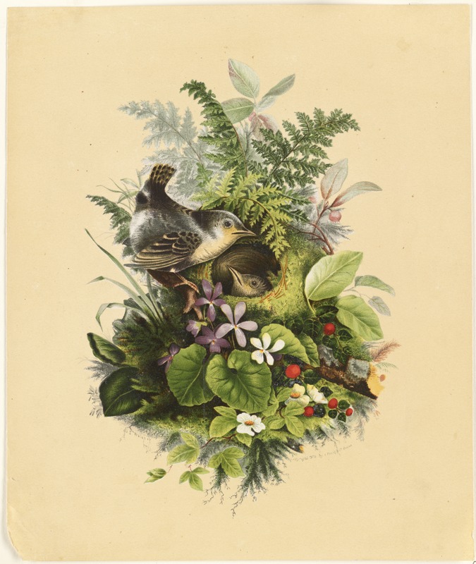 Birds nesting among plants and flowers