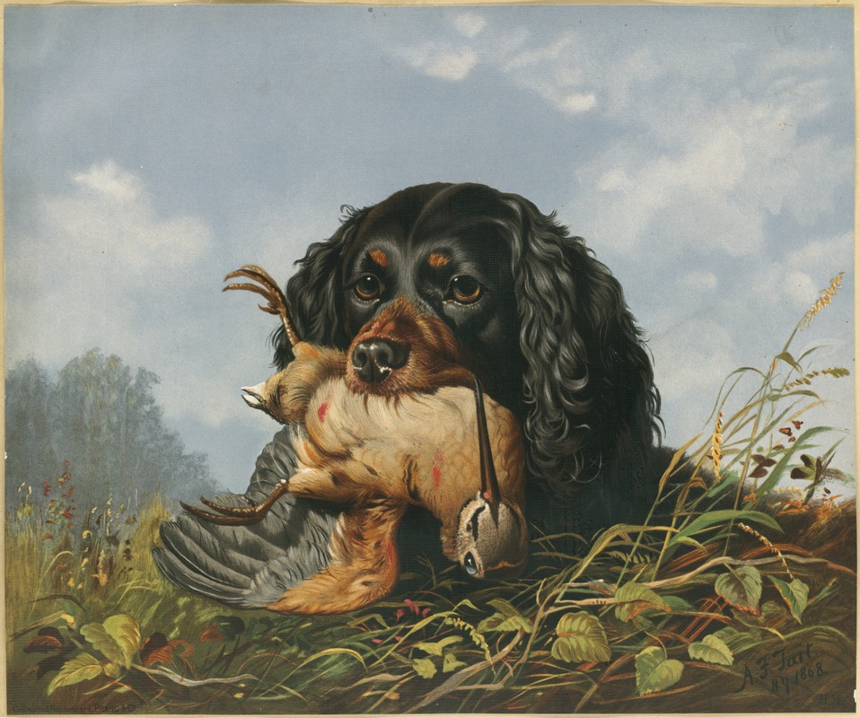 Spaniel and woodcock