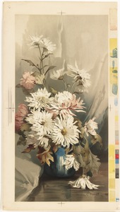 Chrysanthemums no. 5