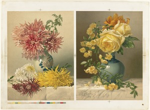 Chrysanthemums and Mareshal Niel Roses