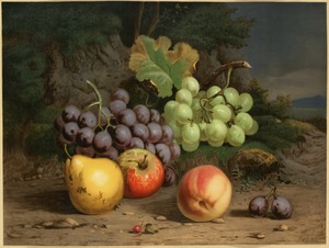 Fruit piece no. 1