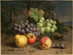 Fruit piece no. 1