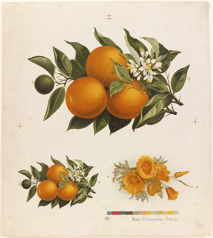 Oranges and poppies