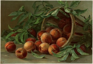 Peaches In a basket