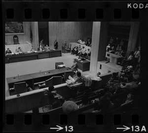 Helene Cummings addresses City Council hearing on the plight of handicapped persons from her stretcher-bed