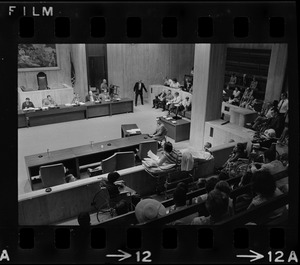 Helene Cummings addresses City Council hearing on the plight of handicapped persons from her stretcher-bed