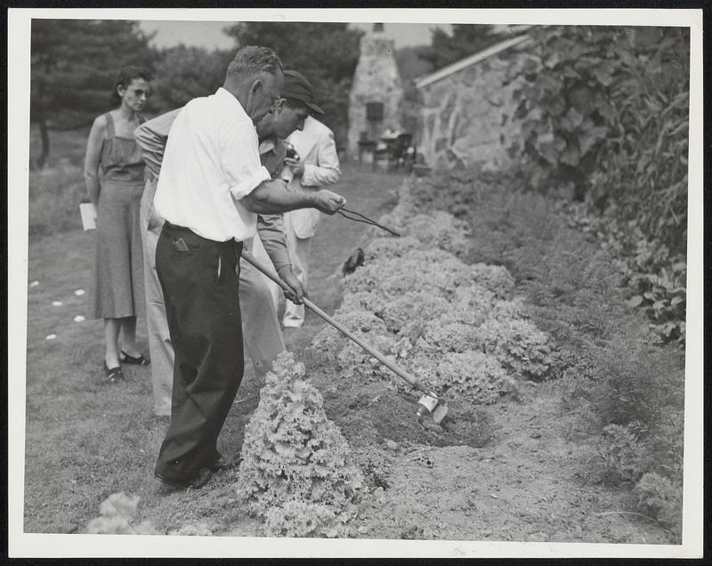 Henry Gross with dowsing rod locates champagne in stead of beer. Donald Bryant- farm foreman - with hoe for Kenneth Roberts. Left, rear. Mrs Laura Dale, research for American Society for Psychical Research.
